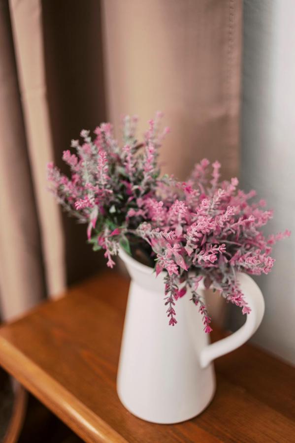 Olympia'S Cozy Guesthouse Psinthos Zewnętrze zdjęcie